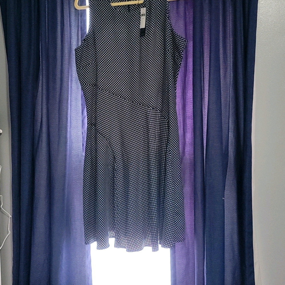 NWT Banana Republic Polka Dot Fit and Flare Dress